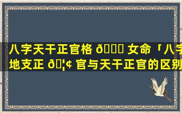 八字天干正官格 🐅 女命「八字地支正 🦢 官与天干正官的区别」